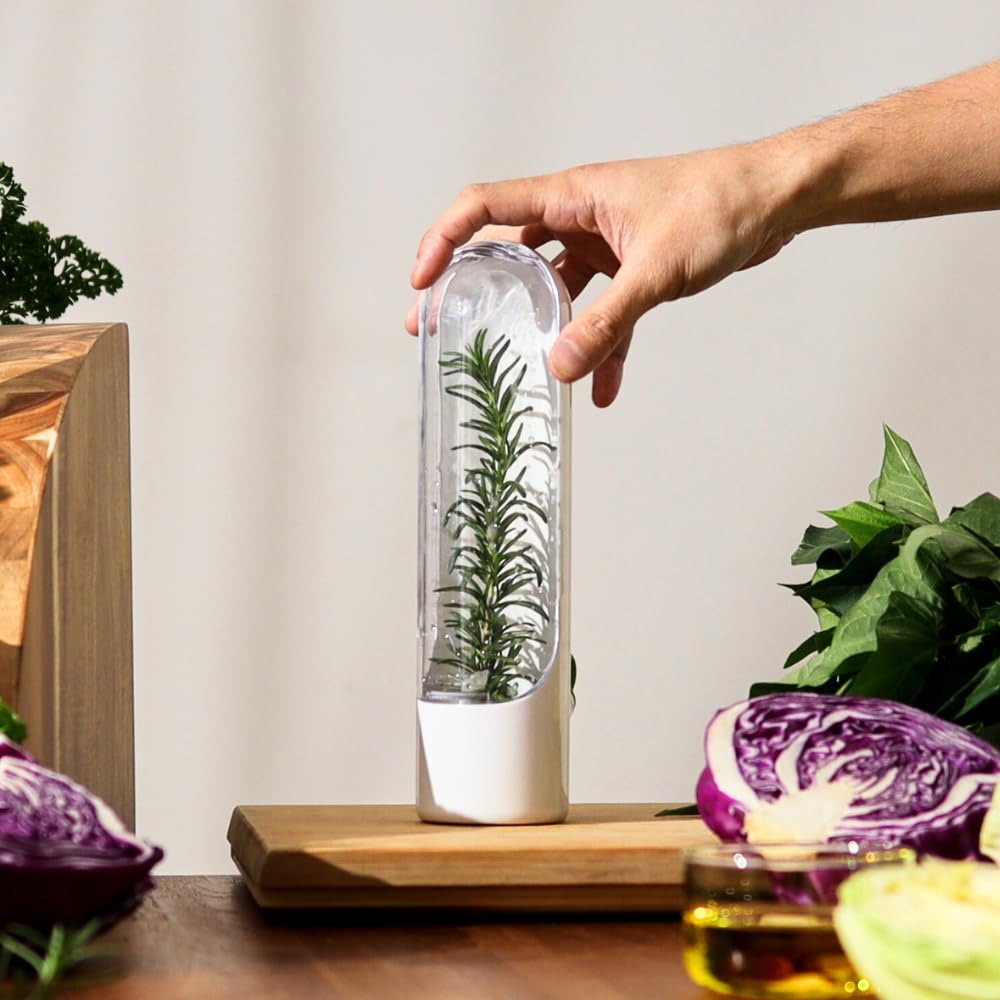 Prepara Herb Savor Pod 2.0 – BPA-Free Herb Keeper for Fridge Storage (Transparent)